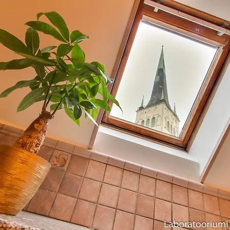 Luxury - Old Town By Rikas טאלין